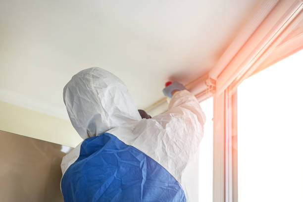 Best Residential Mold Inspection & Testing in Yoakum, TX