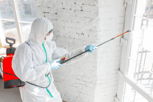  Yoakum, TX Mold Removal Pros